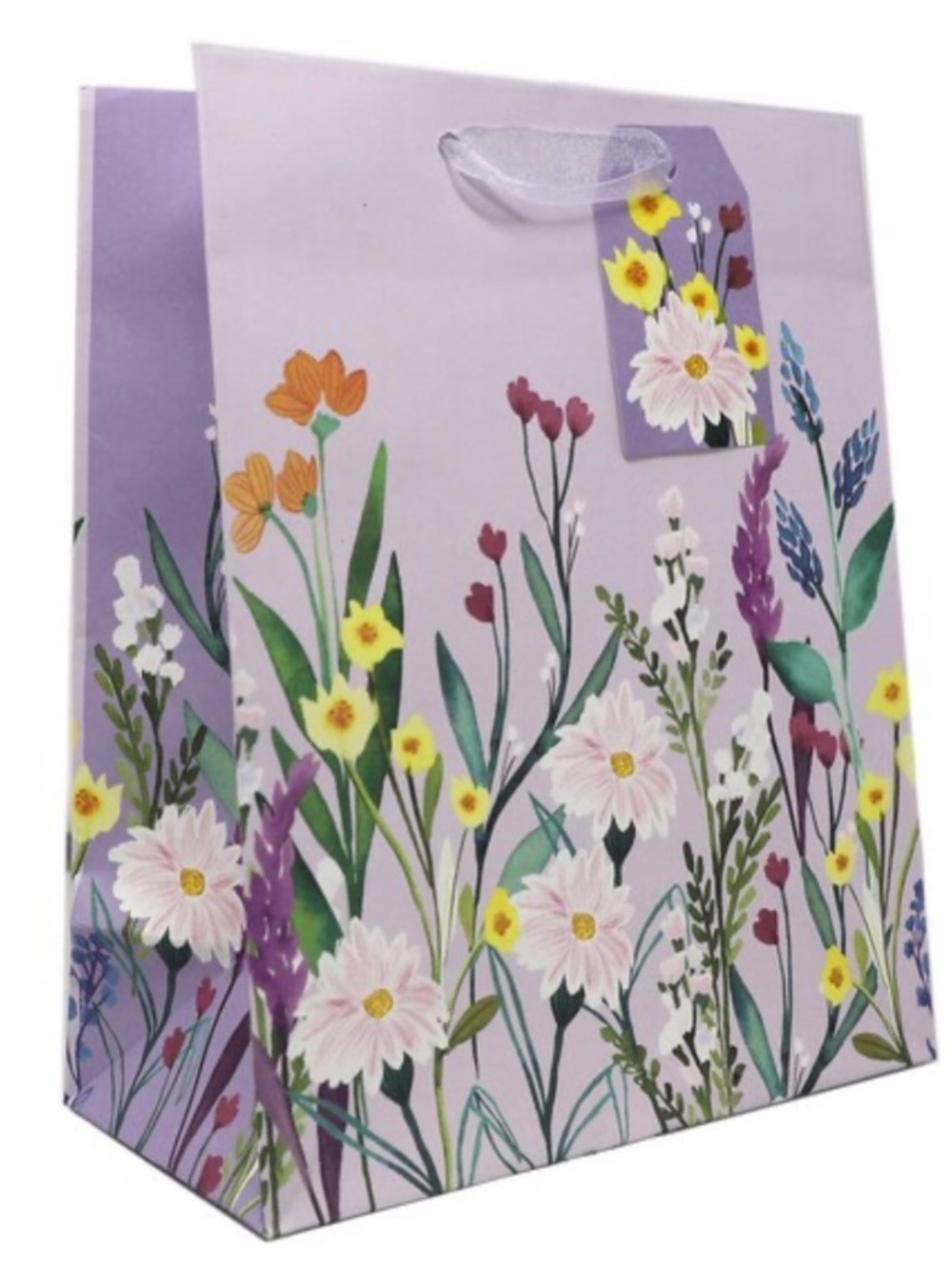Secret Garden  Gift Bag with Daisies set of 5